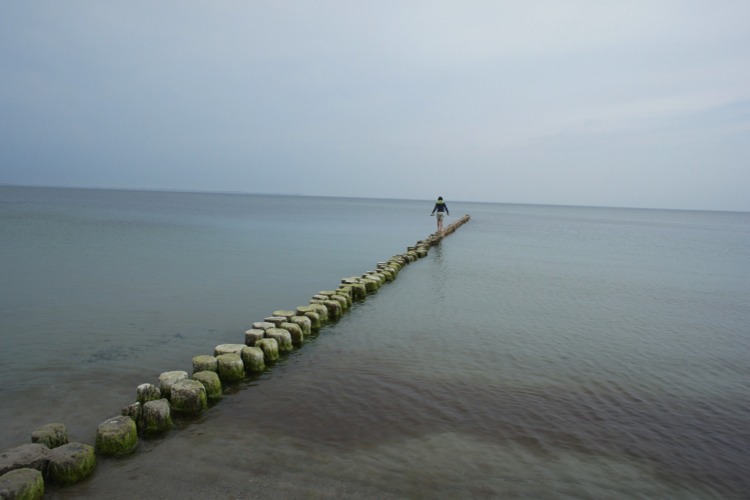 Stacks Image 65