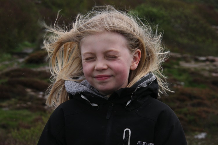 Stacks Image 89